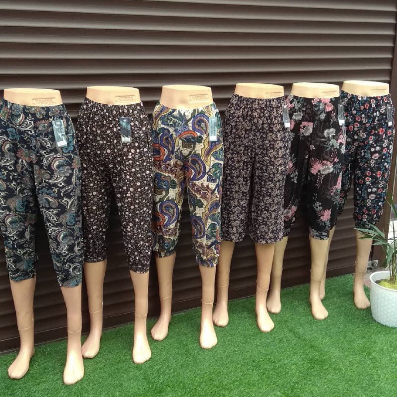 Холодок бриджи