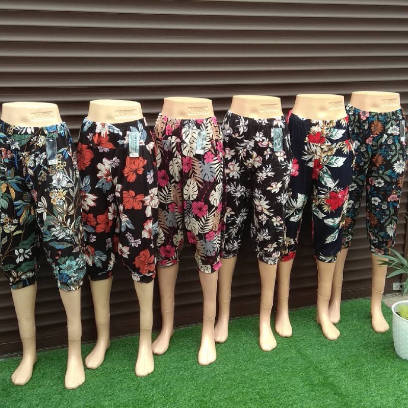 Холодок брид...