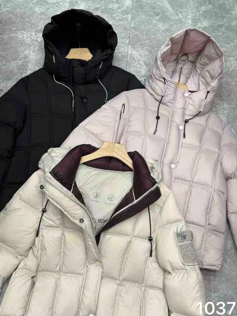 _NEW COLLECTION_