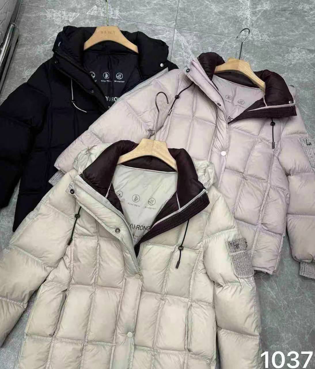 _NEW COLLECTION_