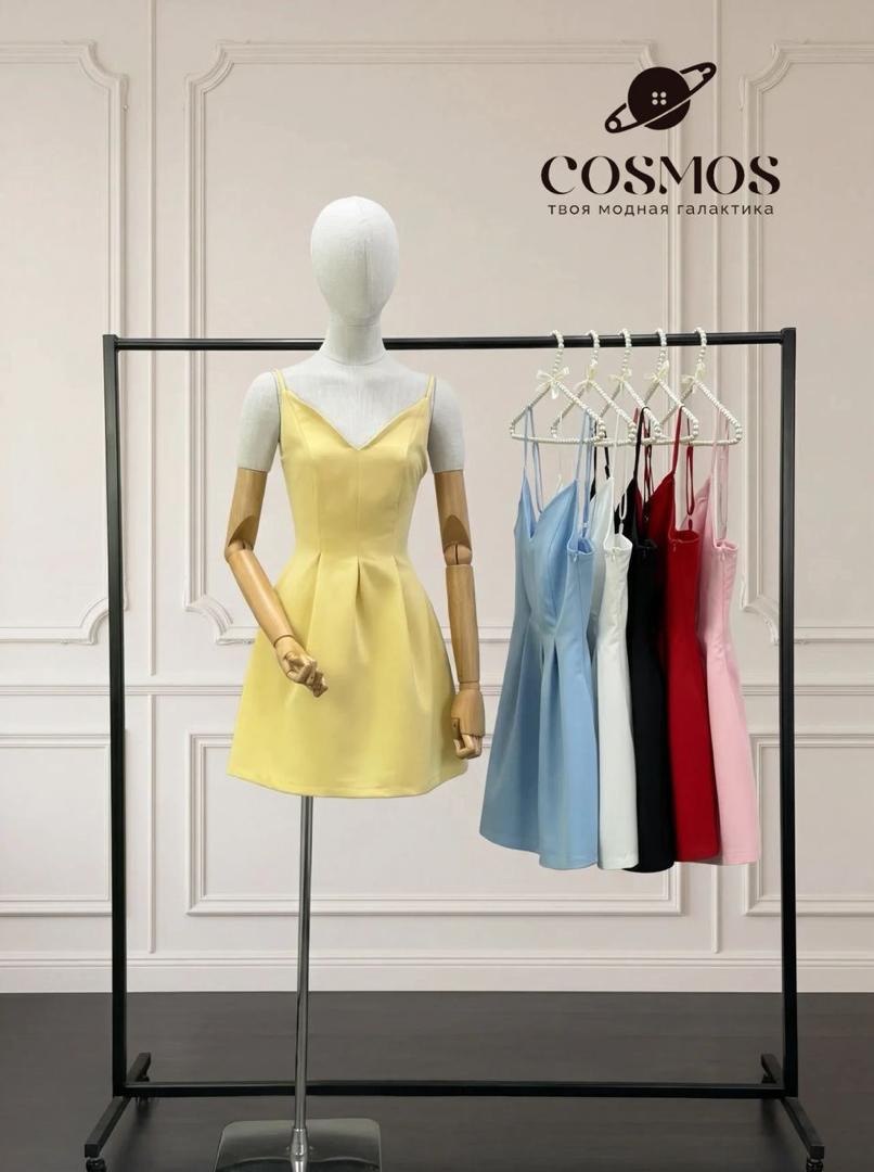 NEW COLLECTI...